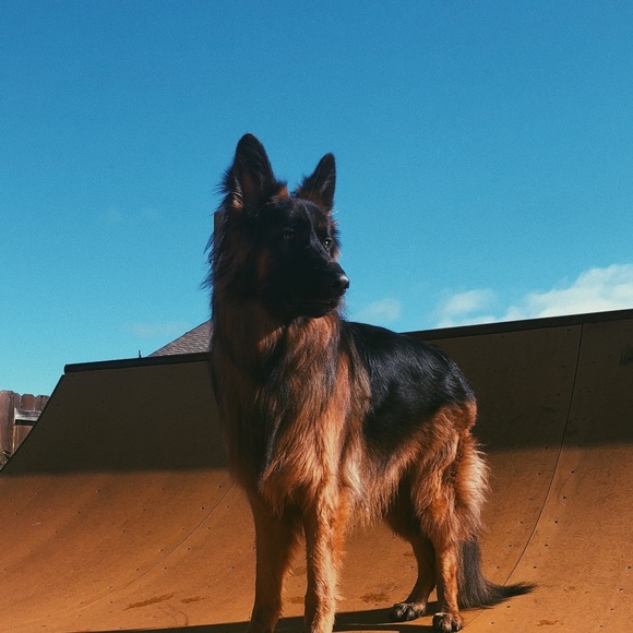 Meet your seller! - Picture 3 of 8